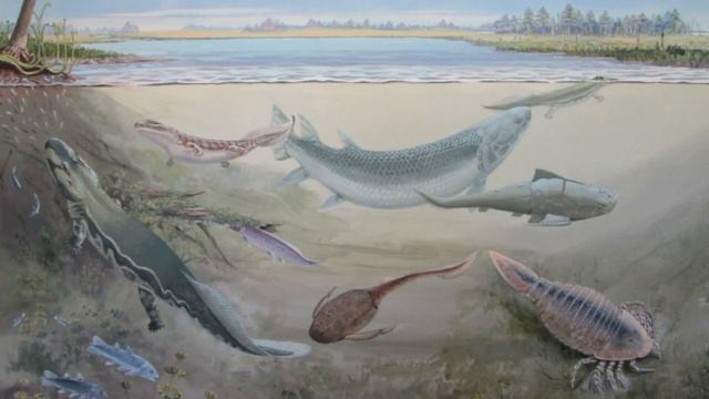 Giant fish with deadly fangs that may have preyed on human ancestors unearthed in South Africa смотреть онлайн