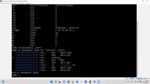 GNU Assembler X64. Регистр флагов