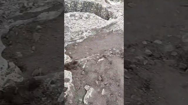 Дырявый мыс, князья феодоры, короче, день назад(4)