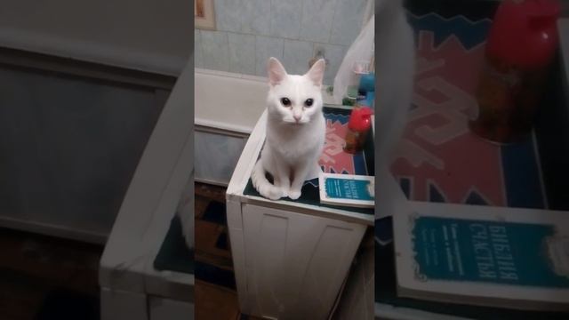 Маркиза жжет смотреть онлайн