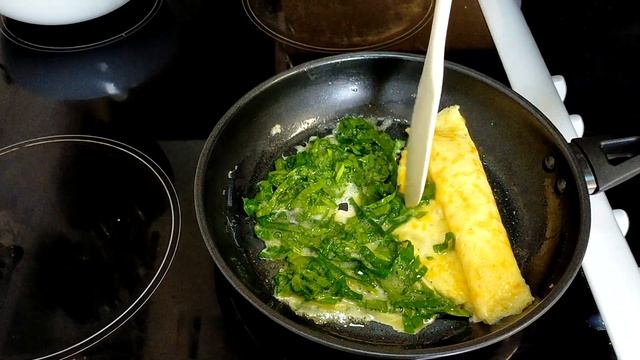 Домашние Животные и Их Уход