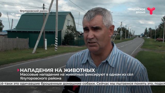 Нападения на домашний скот в Ялуторовском районе