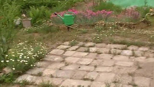 Дача: что есть РОДИНА? болтовня о том о сём ПРОГУЛКА смотреть онлайн