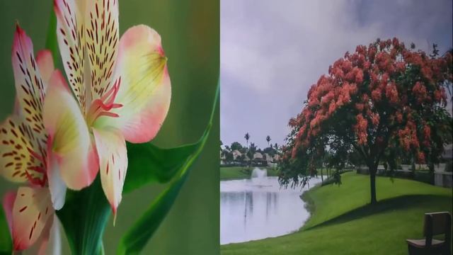 Отличная музыка для души-приятная расслабляющая музыка?Музыка для медитации успокаивает разум смотреть онлайн