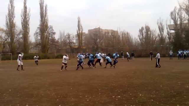 медведи смотреть онлайн