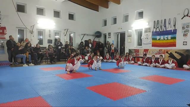 LIVE ? 3° TURNO ESAME PASSAGGIO DI GRADO ? #live #esame смотреть онлайн