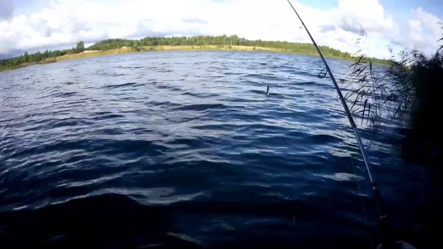 ловля на колебалки с берега. смотреть онлайн