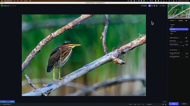 Which Is BETTER? Denoise AI Or Photo AI?
