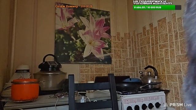 ?ЧТО ЗА ФРУКТ И С ЧЕМ ЕГО ЕДЯТ? СТРИМ смотреть онлайн