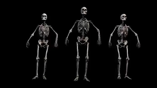1 hour loop dancing skeleton trio silent screen смотреть онлайн