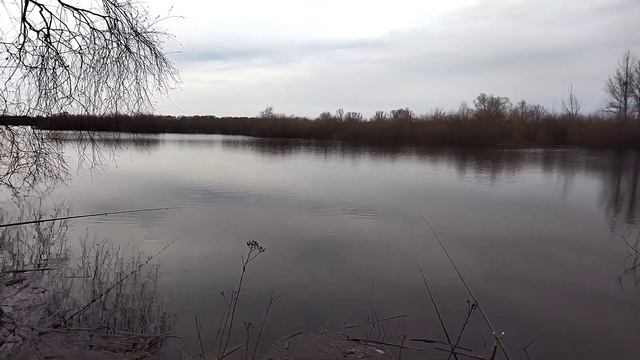 РЫБА ПОШЛА.ПРЁТ ПОЛНЫМ ХОДОМ.Рыбалка на поплавок смотреть онлайн