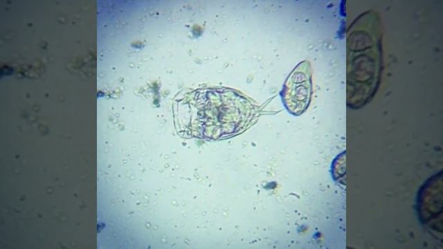 Конец времени. Вода испаряется смотреть онлайн
