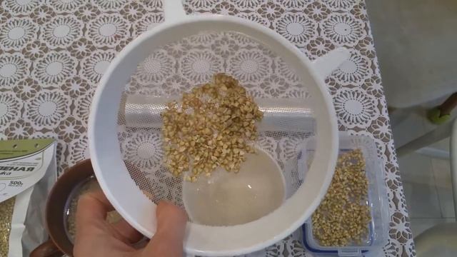 Как прорастить зелёную гречку смотреть онлайн