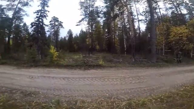 Toima2017 смотреть онлайн