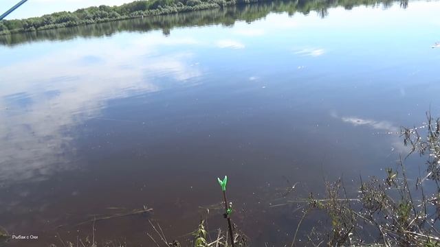 Рыбалка на Оке! На это донки не молчат! Почему Тверские кормушки? смотреть онлайн