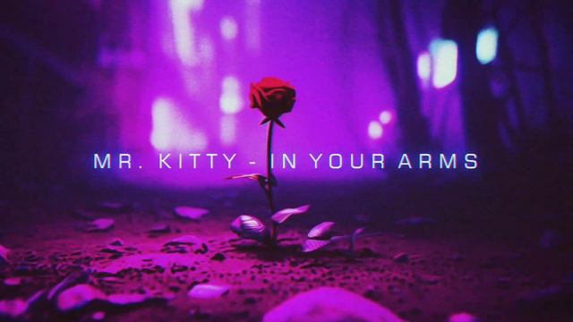 Mr. Kitty - In Your Arms (Dark Synthwave Cover by Leslie Mag) смотреть онлайн