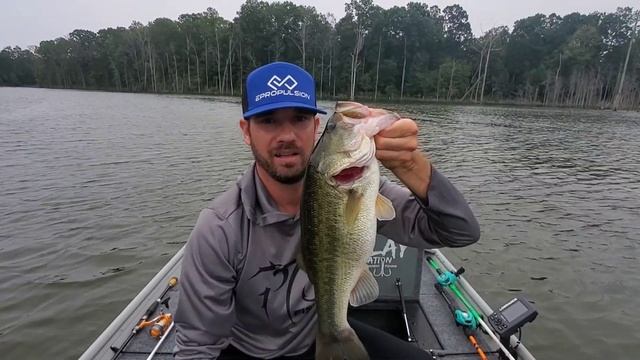 Electric Outboard Performance | Run Time | Top Speed Test смотреть онлайн