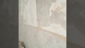 Поклеила маме на кухне самоклеющиеся панели.Не скажу,что дёшево,ну очень быстро и красиво.