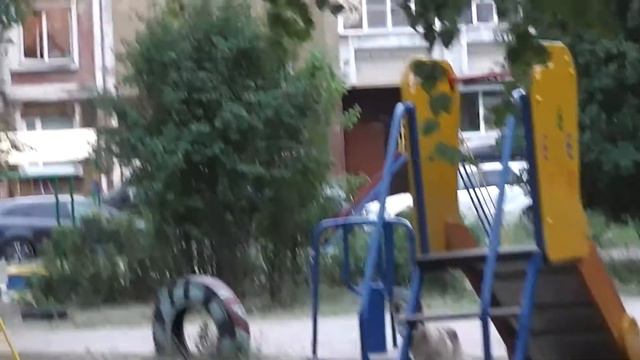 Ахтунг, в Дзержинске волки. смотреть онлайн