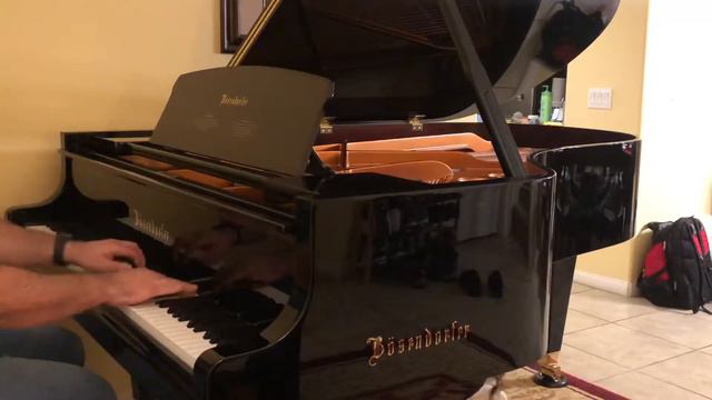 Clair De Lune Piano - Bosendorfer 200 смотреть онлайн