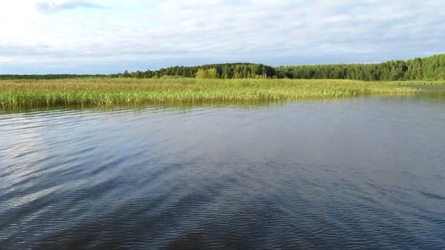 Казанка 5М4 Tohatsu 50 \ На рыбалке на Иваньковском водохранилище ( Река Волга ) смотреть онлайн