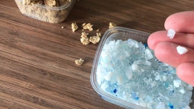 какой наполнитель для кошачьего туалета лучше