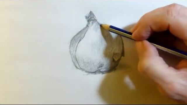 Original Drawing of a Red Onion - How to demo of a Still Life - Pencil - Speed Drawing смотреть онлайн