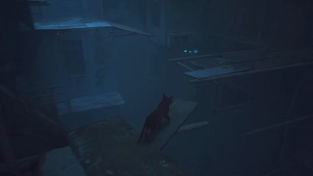 Мертвый город | Прохождение Stray PS5 | #1 смотреть онлайн