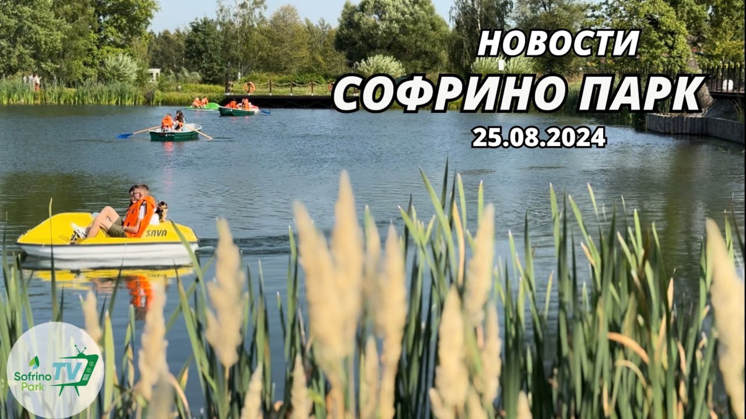 Еженедельный выпуск новостей Sofrino Park TV (25.08.2024) смотреть онлайн