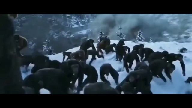 Самогонщики на планете обезьян. ?????