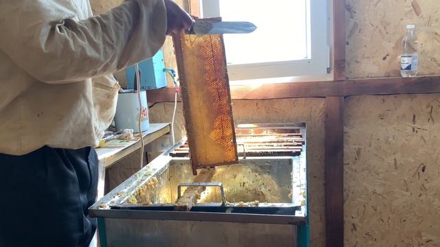 Башкирский МЁД/ Как откачать мёд/ КАЧАЮ мёд/ весь процесс ОТ и ДО смотреть онлайн