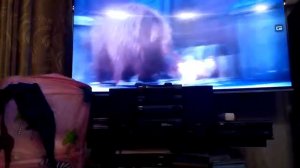 Тайная жизнь домашних животных 3