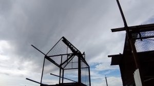 #Астраханские #бойные #голуби.      Голуби Павла, в Астрахани 6.06.19.
