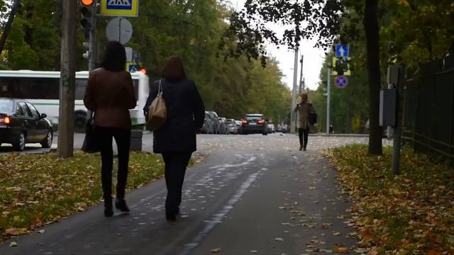 Дуэт  Николай Жуков и Галина Погорельская Листья желтые Муз  Раймонда Паулса ,ст Яниса Петерса