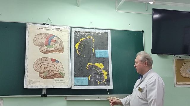 Видеолекция "Конечный мозг" смотреть онлайн