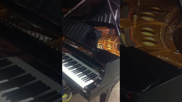 Steinway Grand Piano , Model M , Outstanding ! смотреть онлайн