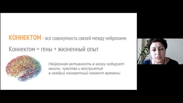 Формирование мозга. Генетические и средовые факторы // Наталья Кучеровская смотреть онлайн