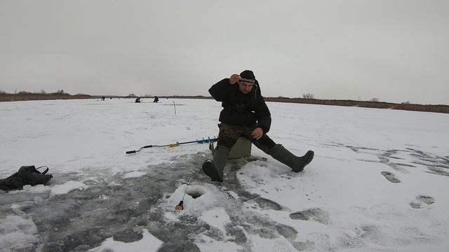 Зимний карась. Ловля в Январе на мотыля. смотреть онлайн