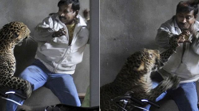 Как вывести человека из себя смотреть онлайн