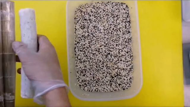 Мотивационные Речи