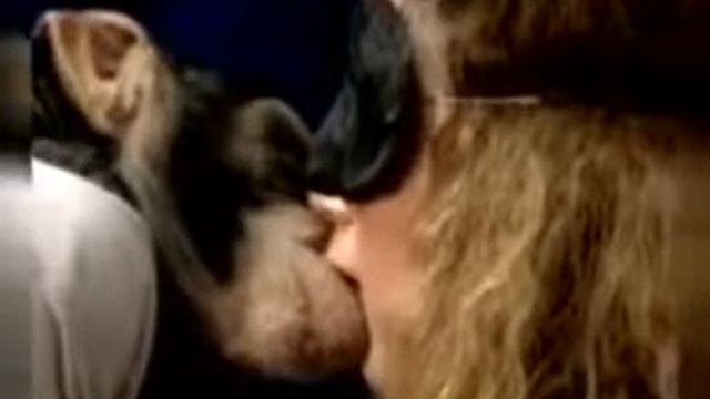 28 февраля 2017 г.(30) смотреть онлайн