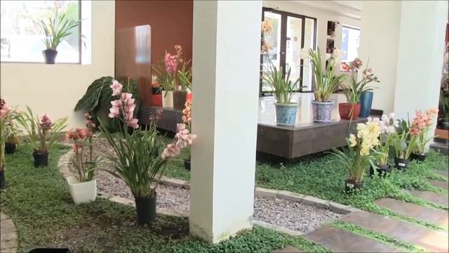 Orquídeas Cumbaya смотреть онлайн