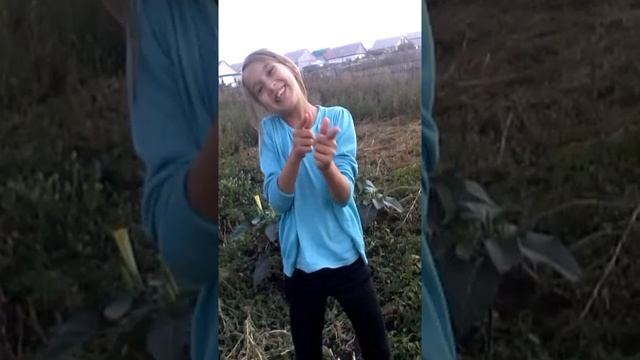 Я ТЕРАРИСТ ТУФ ТУФ ТУФ ТУФ смотреть онлайн