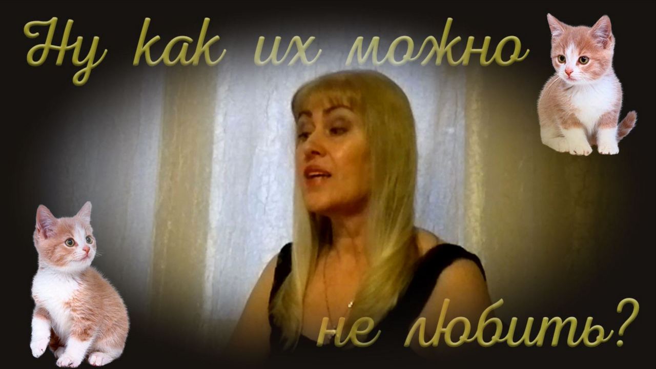 Ну как их можно не любить! смотреть онлайн