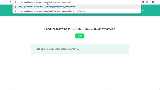 02 Dynamic Parameters - WhatsApp Rotator WordPress Plugin смотреть онлайн
