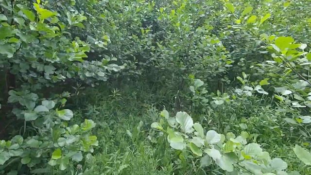 Выезд в поле с металлоискателем, находки. смотреть онлайн