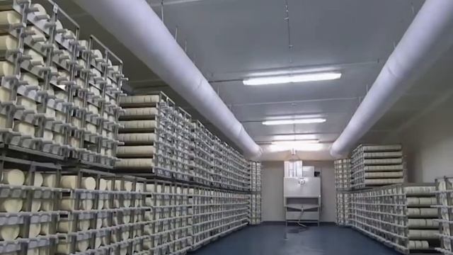 Как правильно выбирать сыр? смотреть онлайн