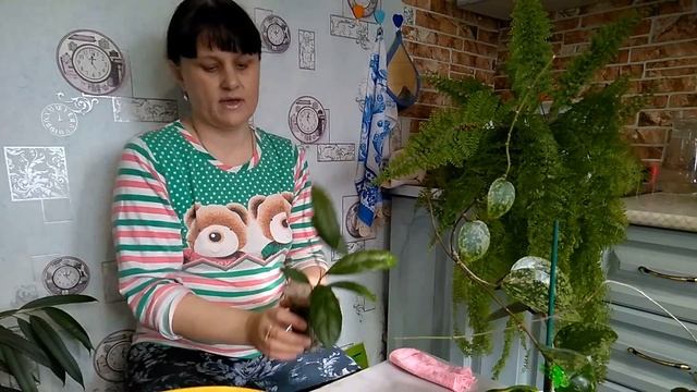 Перевалка хой. Что в тепличке? Грунт . смотреть онлайн