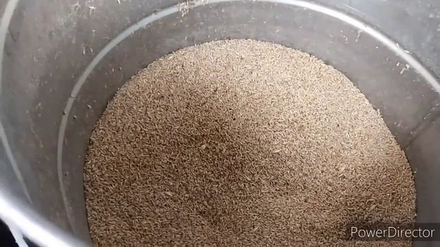 Славянск. 21.06.22.Утро.?Мои все на месте. смотреть онлайн