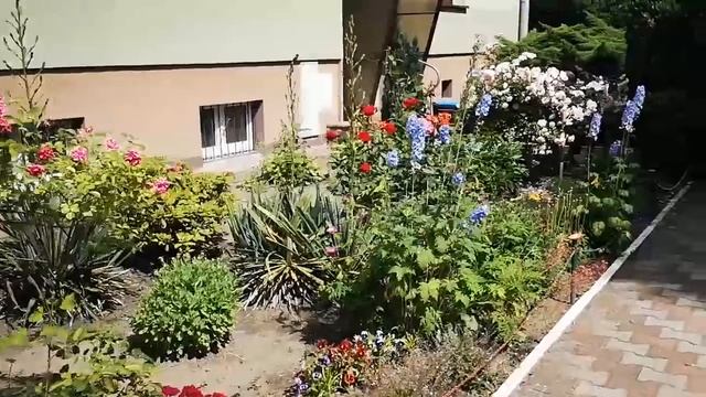 Будете в ШОКЕ от польской ПРОВИНЦИИ. Где в Польше жить хорошо. Клобуцк (Kłobuck) Жизнь в Польше смотреть онлайн